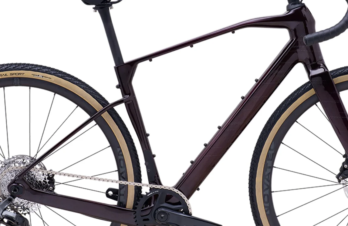 2024 Polygon Tambora G8x - Frameset - Image 2