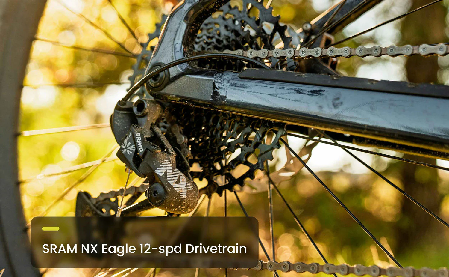 Aventon Ramblas ADV – Hardtail eMTB - Image 9