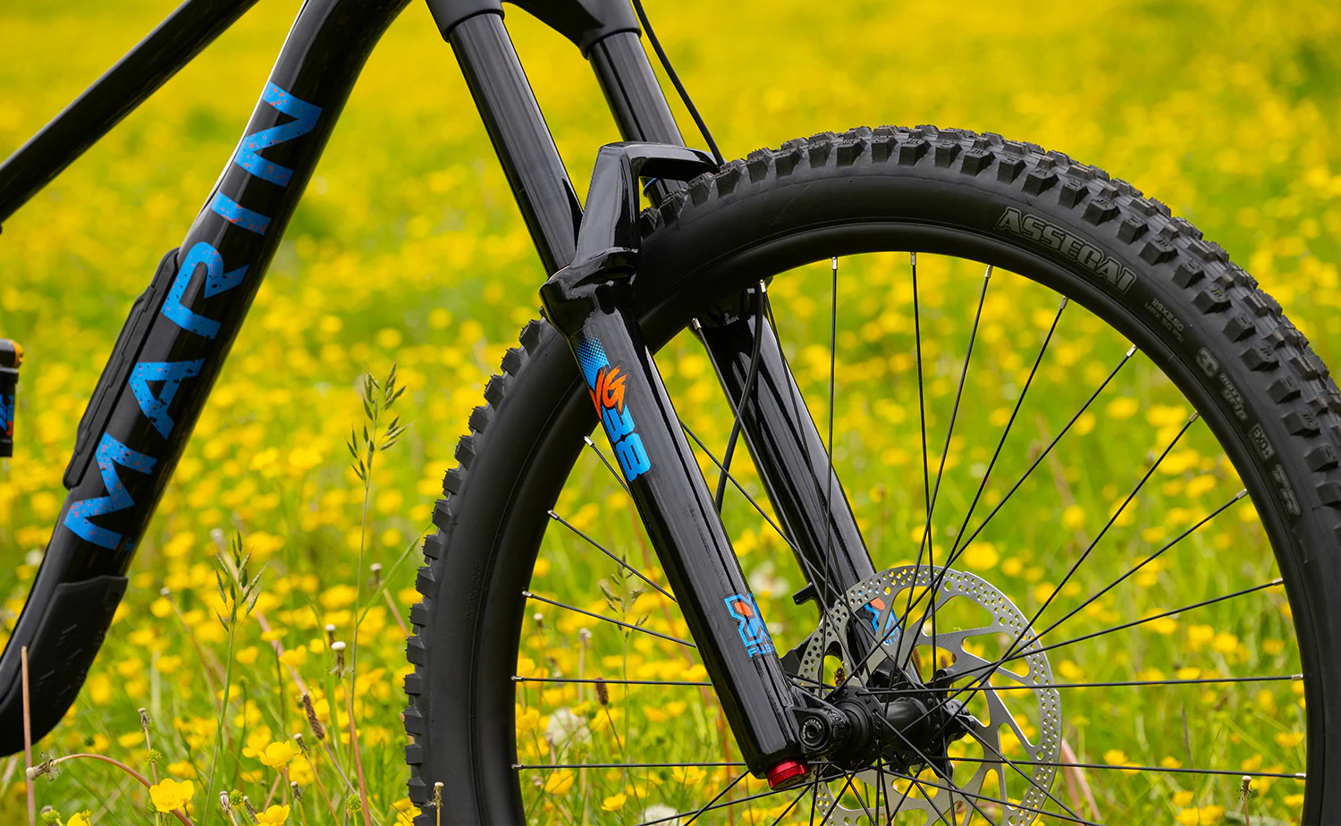 Marin Alpine Trail 1 - Enduro Mountain Bike - Image 15