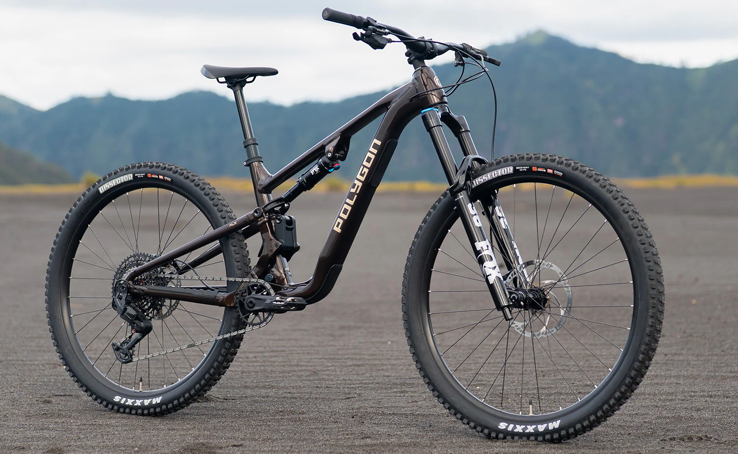 Polygon Collosus T8 – All-Mountain Bike - Image 10