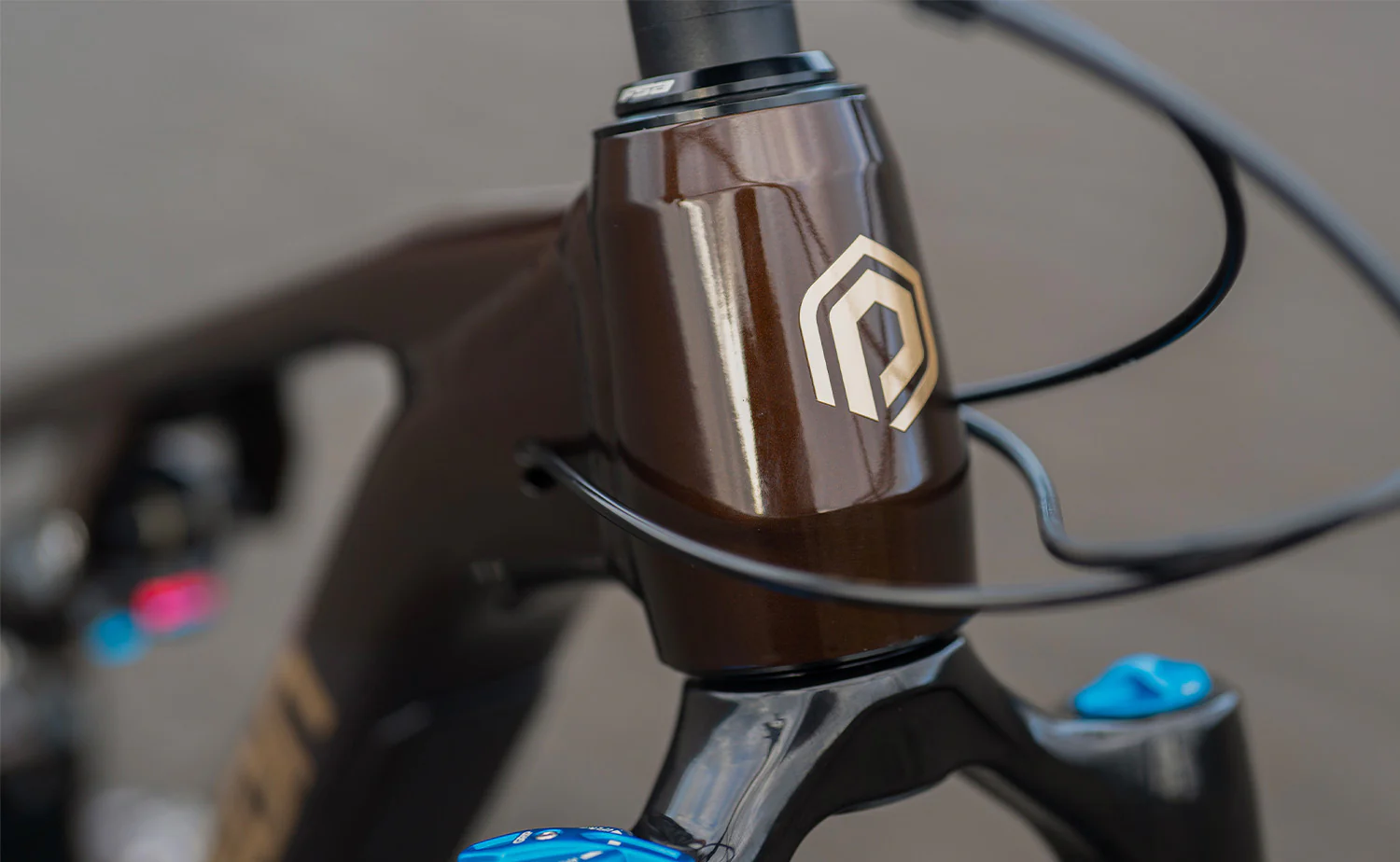 Polygon Collosus T8 – All-Mountain Bike - Image 11