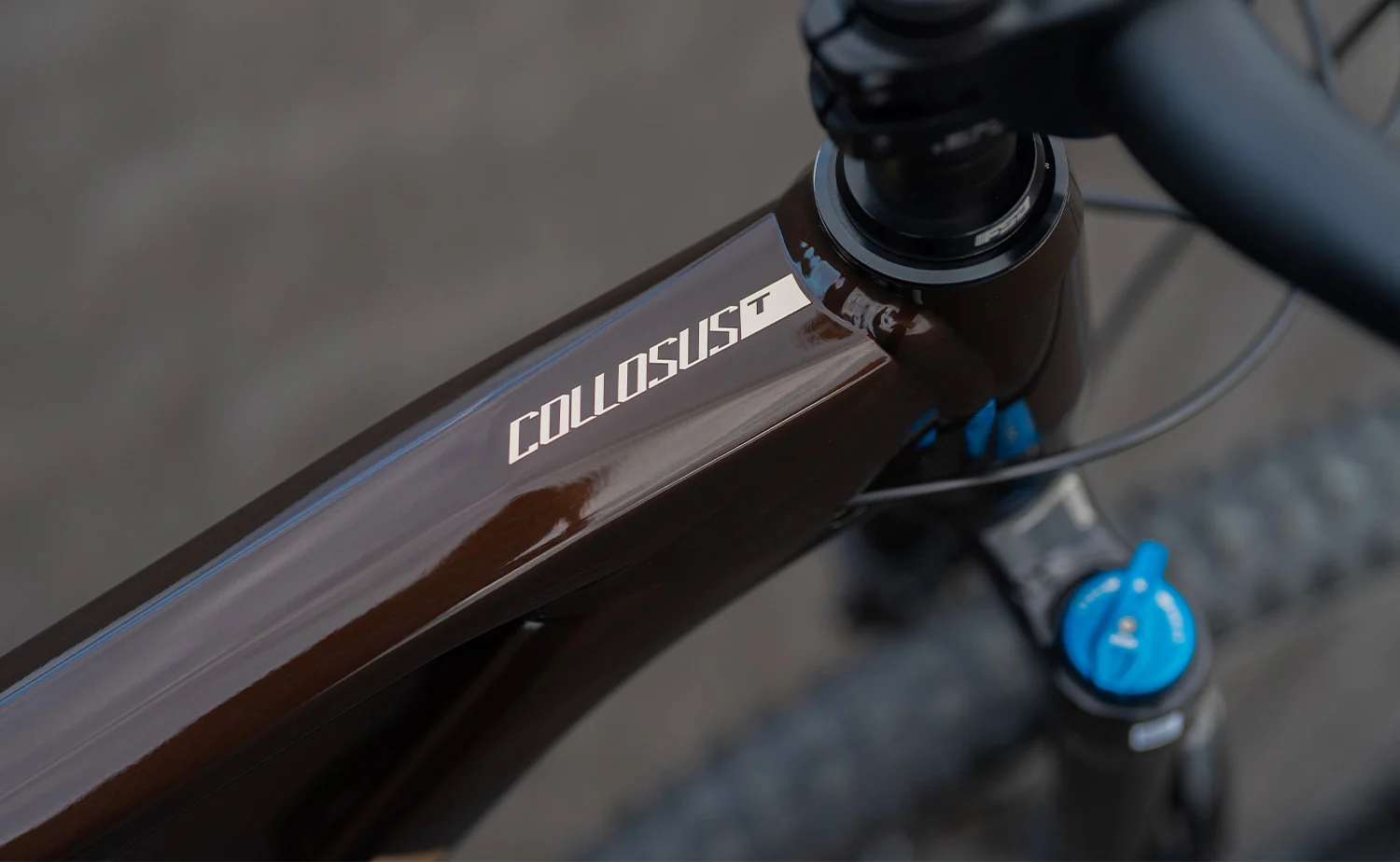 Polygon Collosus T8 – All-Mountain Bike - Image 18