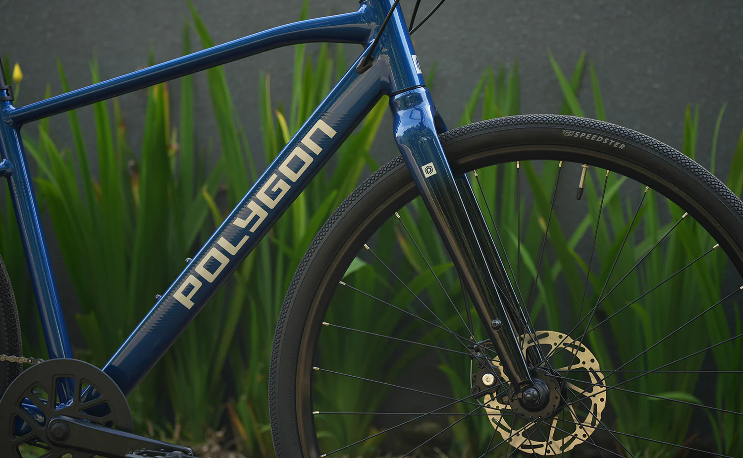 Polygon Path 2 - Urban City Bike - Image 14