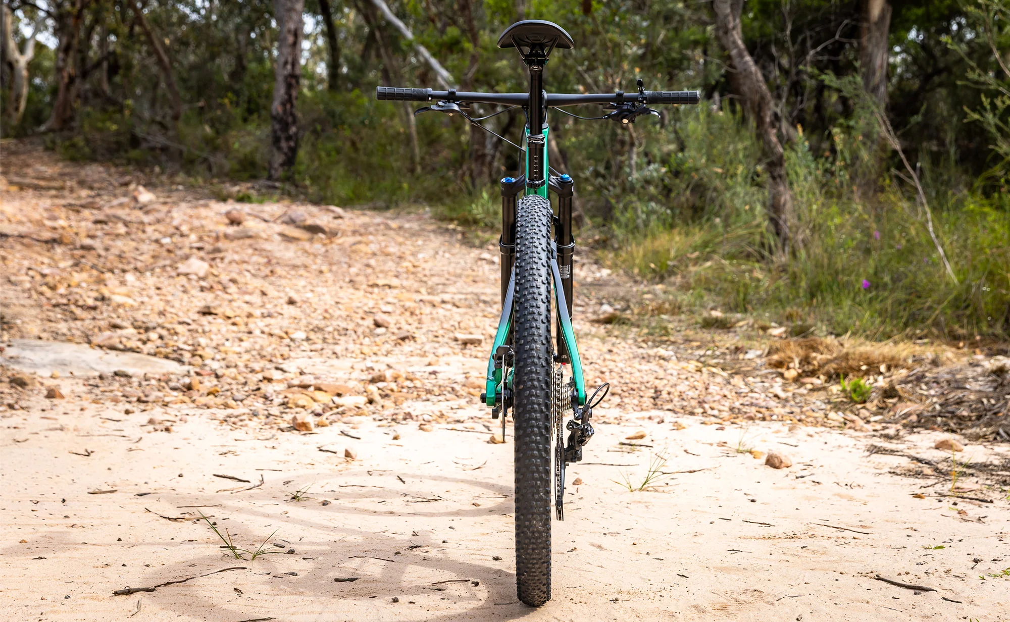 Polygon Syncline DR8 - Carbon XC Mountain Bike - Image 5