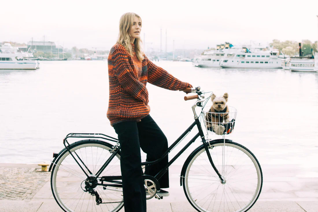 Reid - Ladies Classic Vintage Bike - Image 12