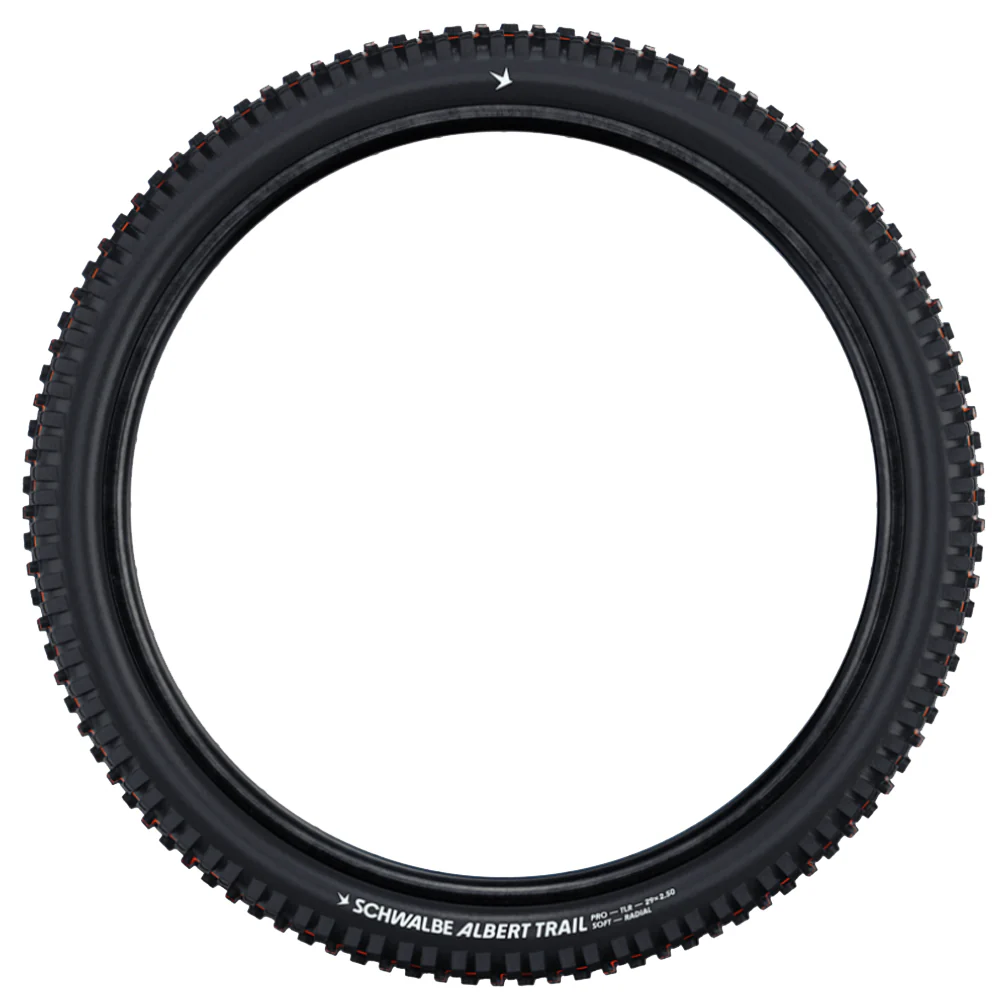 Schwalbe Albert Radial - MTB Tyre - Image 5
